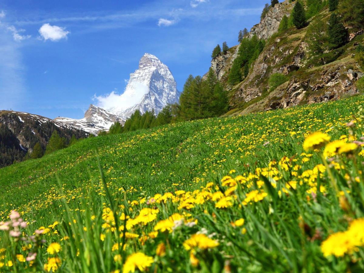 Apartment Aquila By Interhome Zermatt Kültér fotó
